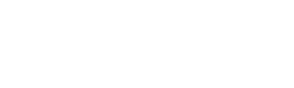 WZD HOME Logo