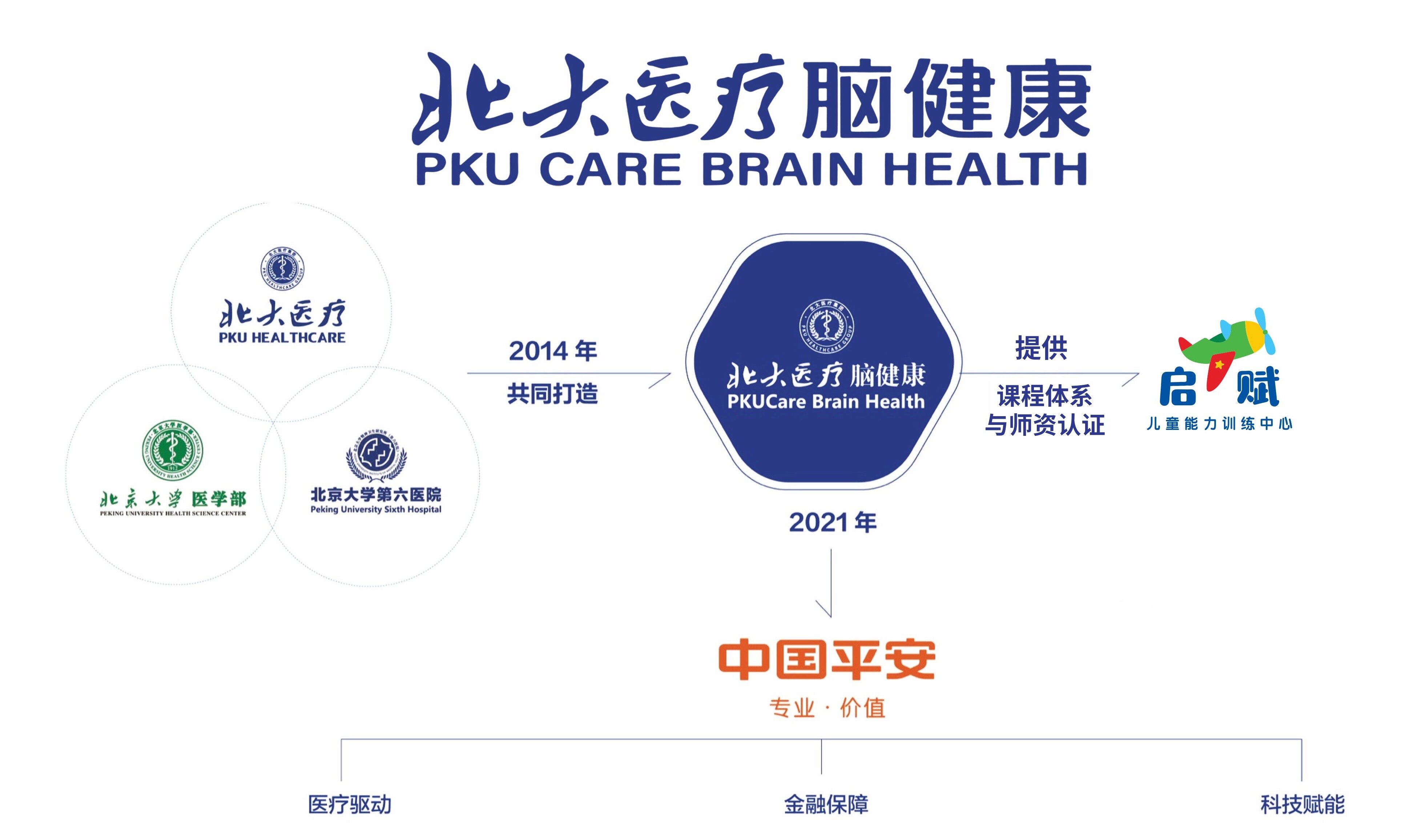 北大医疗脑健康背书