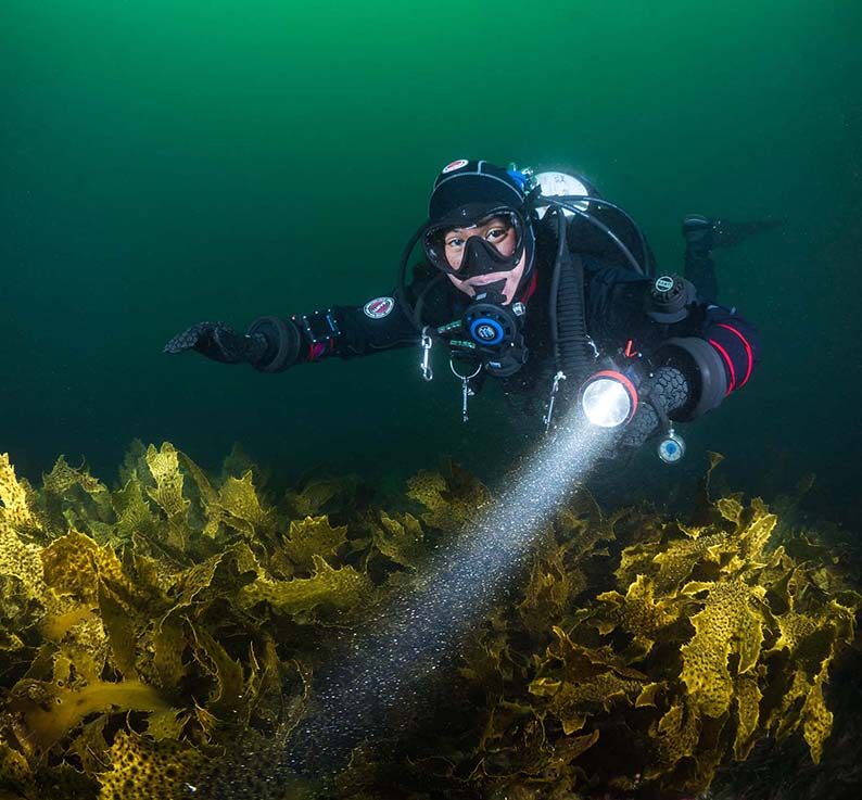 Open Water Diver