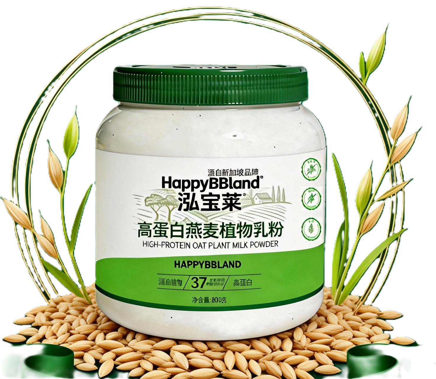 燕麦胚芽结构图
