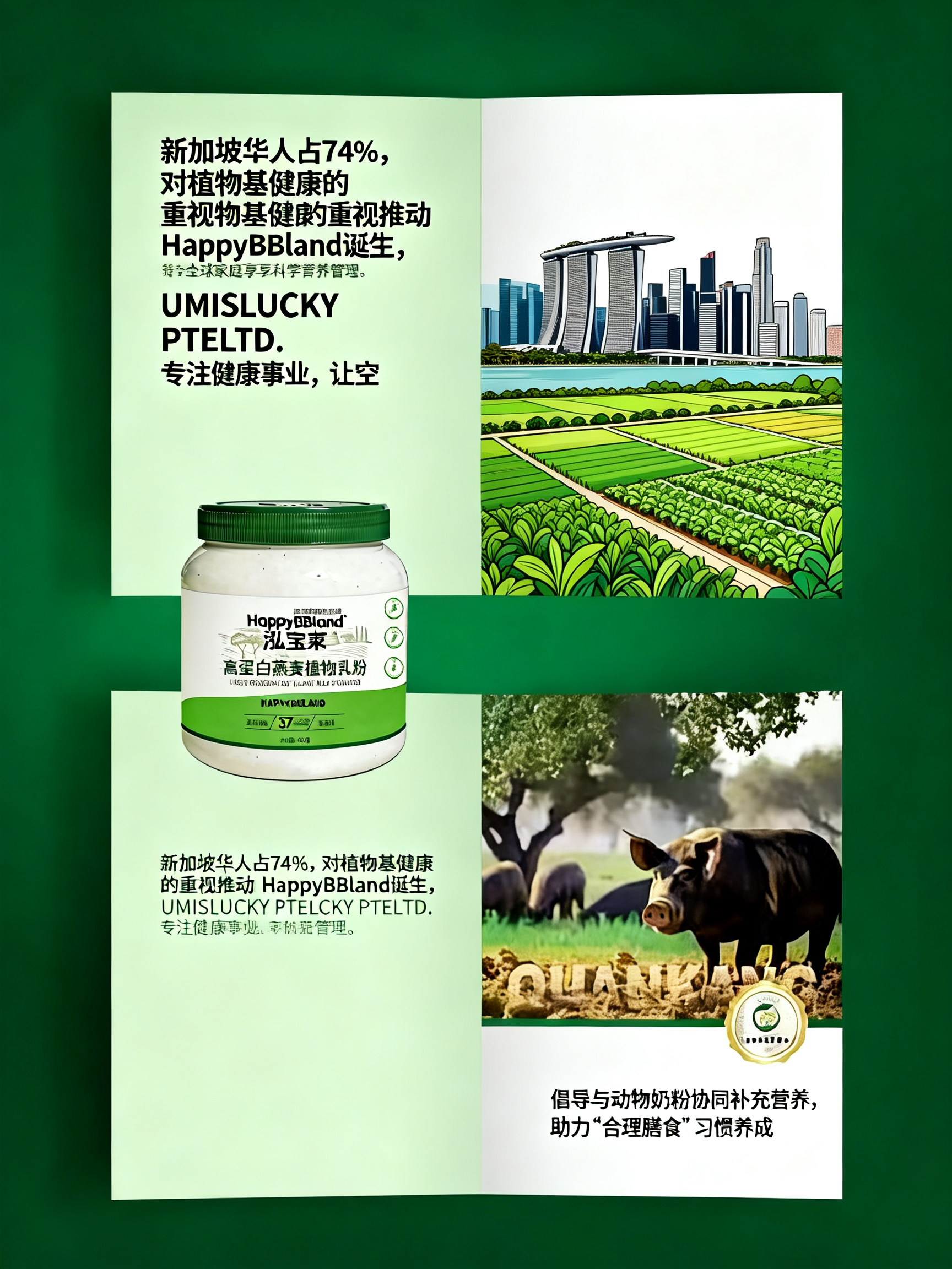 泓宝莱高蛋白燕麦植物乳粉
