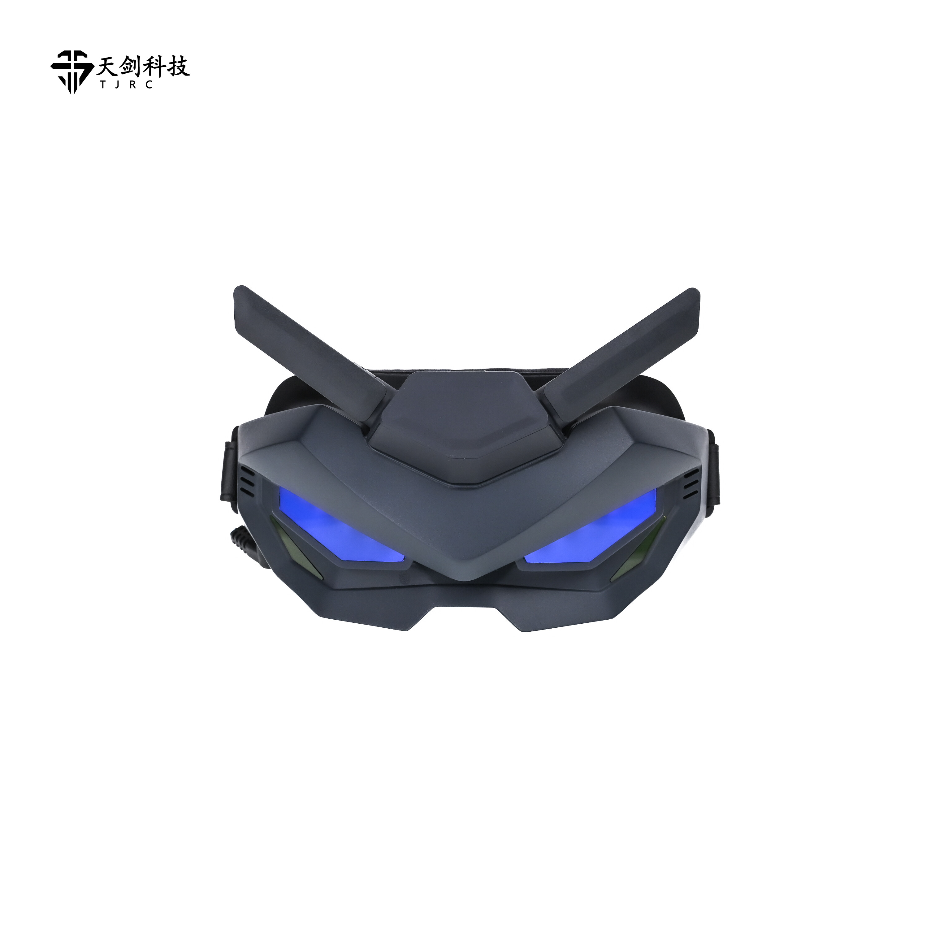 FPV Goggles