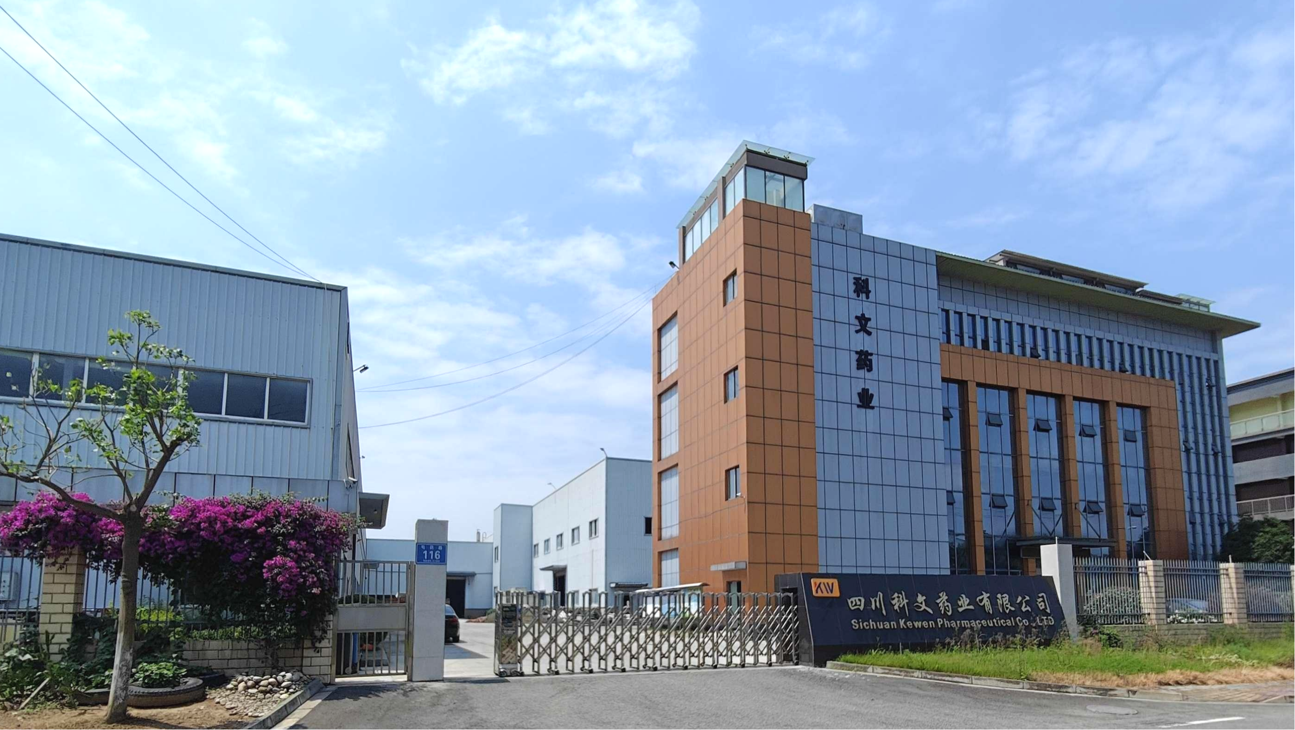 公司大楼