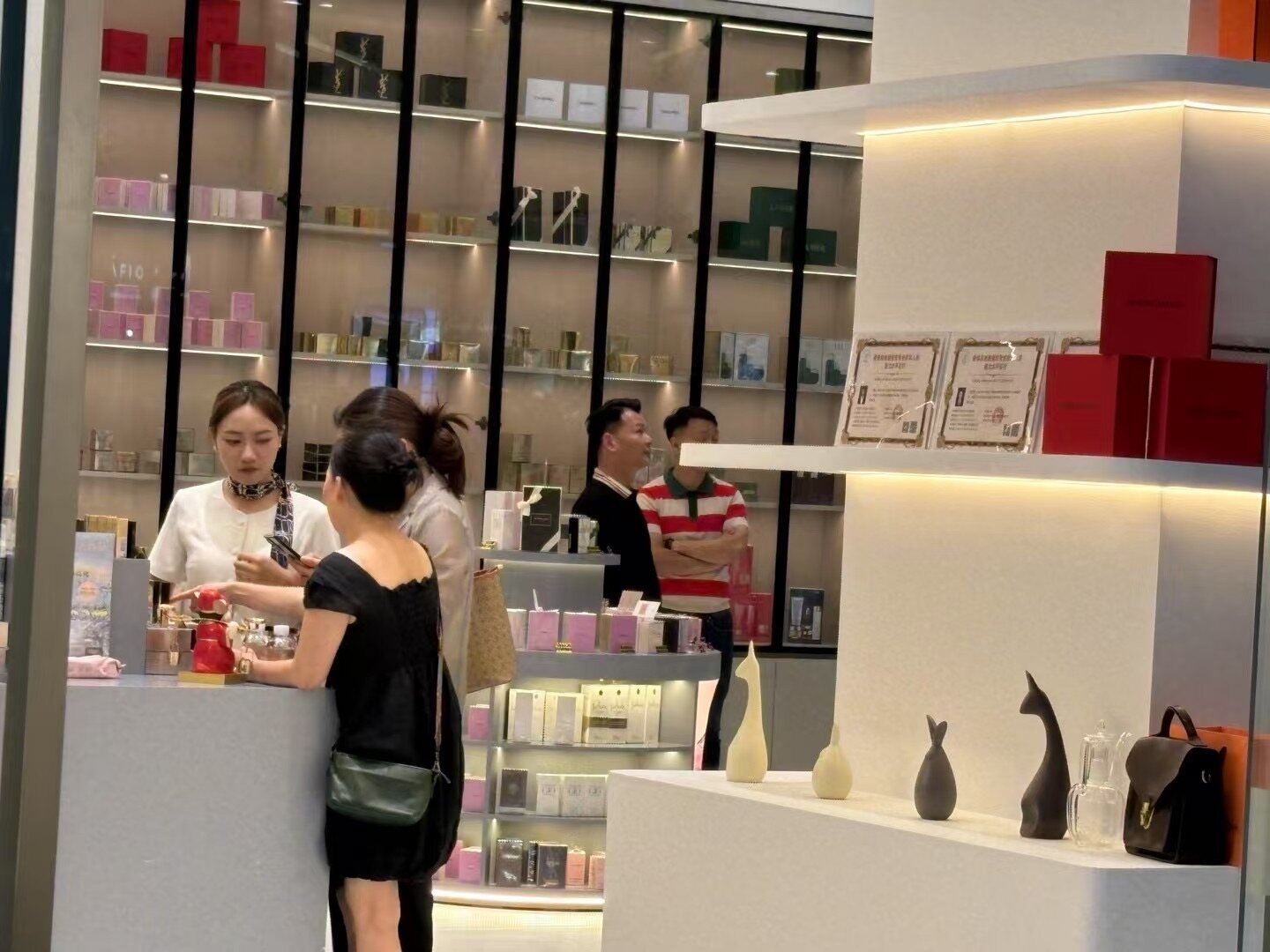品牌展示