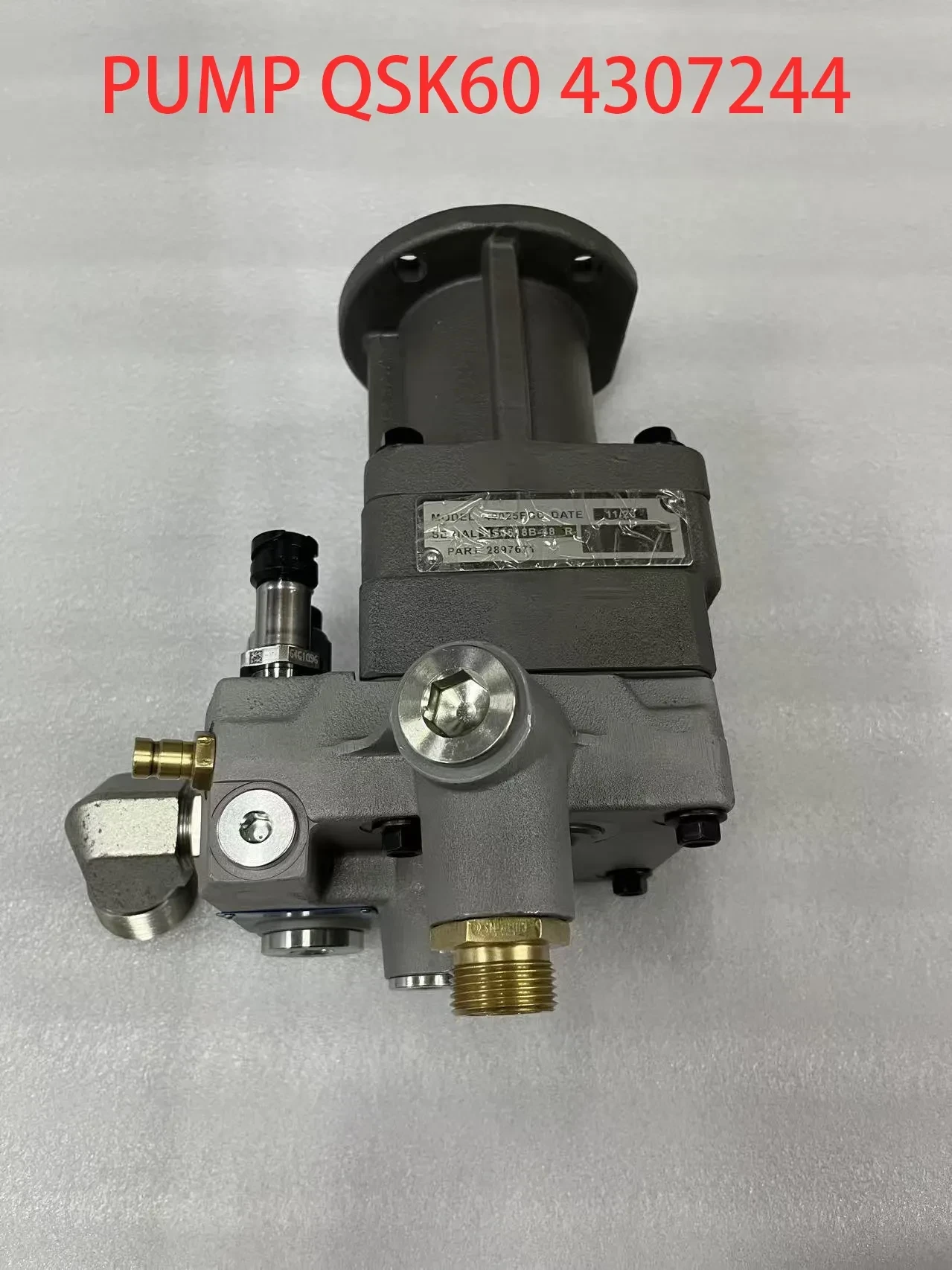Cummins QSK60 Pump 4307244 detail view 3