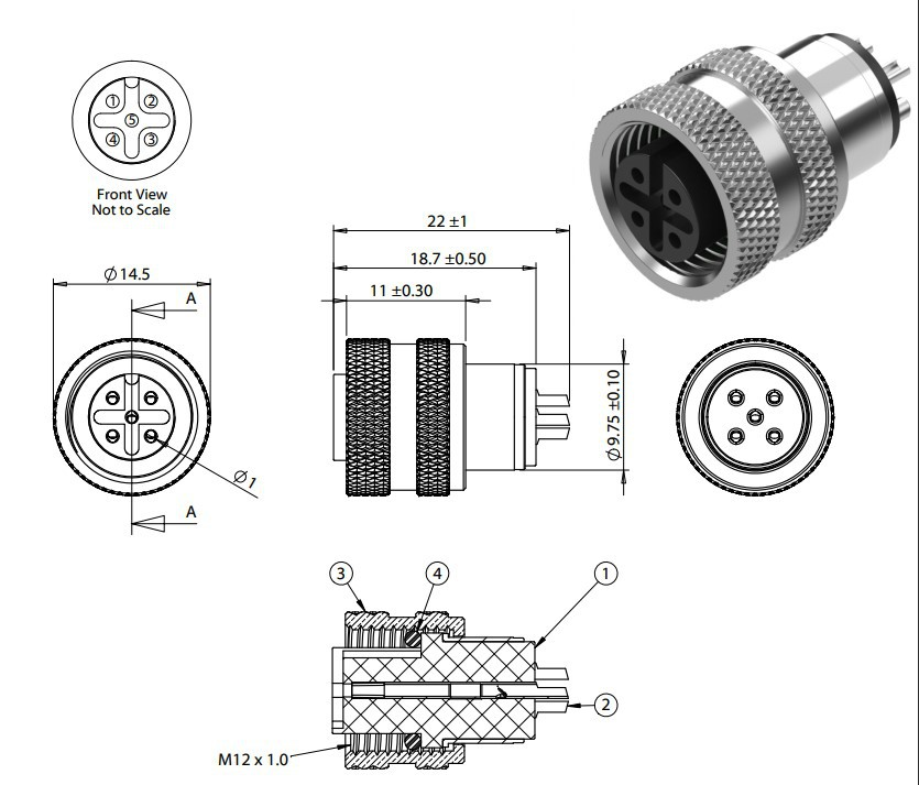M12-A4 Detail Image 2