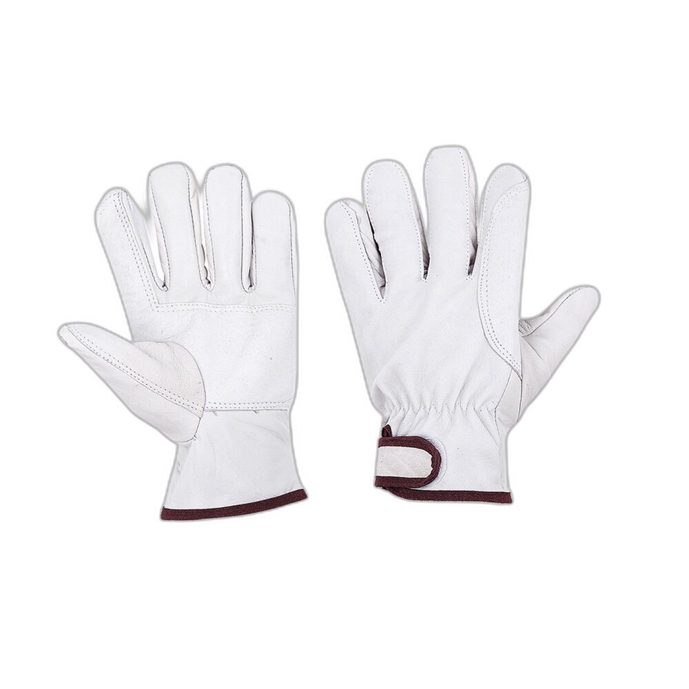 White Brown Trim Dress Gloves
