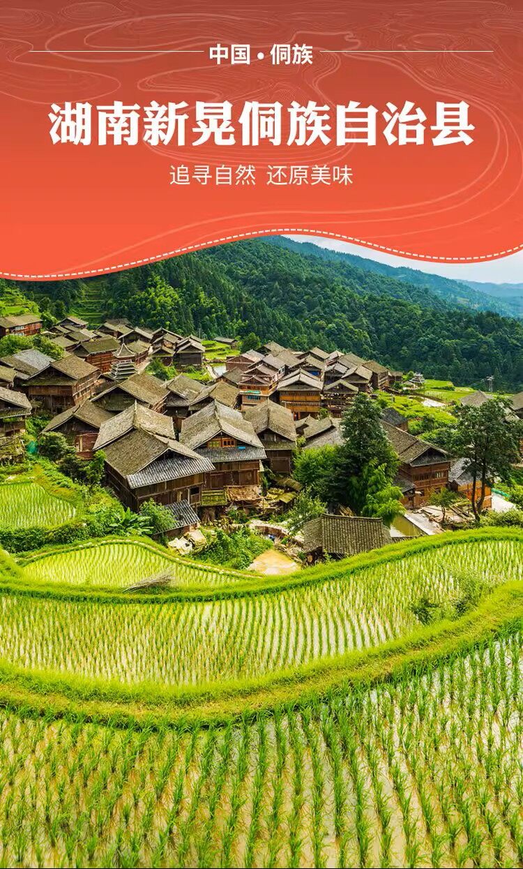 侗藏红米 香飘万里——中国重要农业文化遗产新晃侗藏红米产业发展侧记