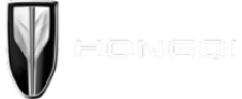 Partner Logo 3