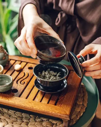 Tea Culture