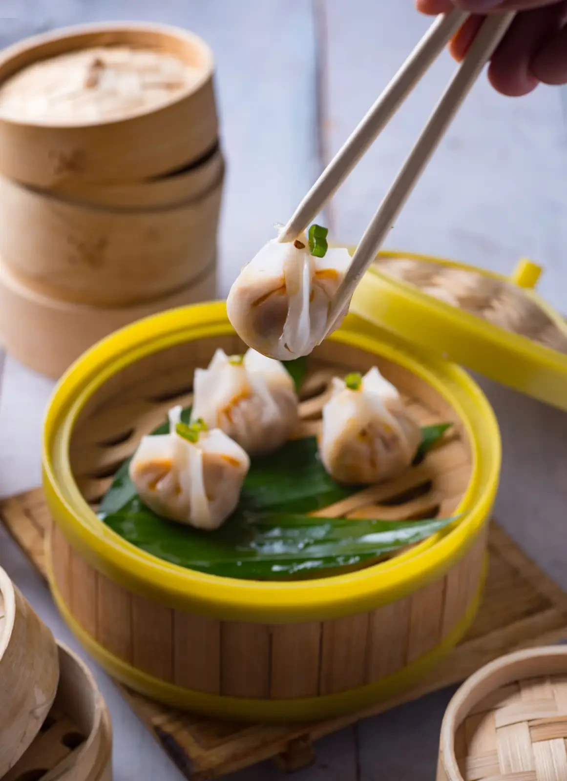 Cantonese Cuisine