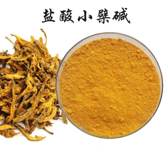 国内普遍认知的止泻药小檗碱，为何成了风靡海外的代谢神药？