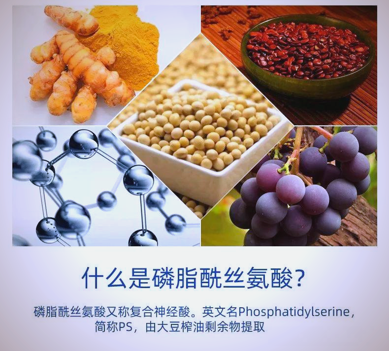 大脑里的交通指挥官：磷脂酰丝氨酸，让神经信号跑更快、记更牢的秘密！