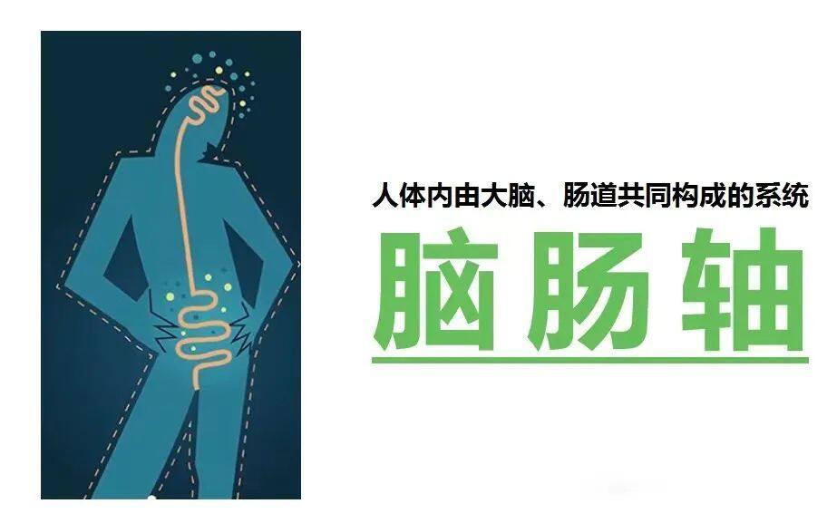 益生菌会影响大脑吗?