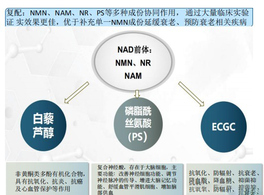 NMN复配到底靠不靠谱?从机制到实证一次性讲透