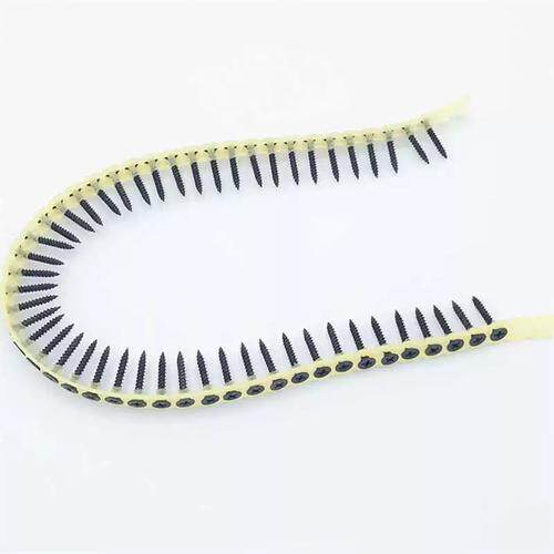 Collated Drywall Screw view 2