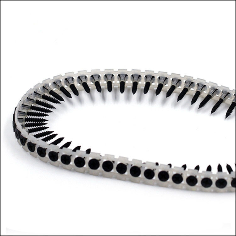 Collated Drywall Screw view 3
