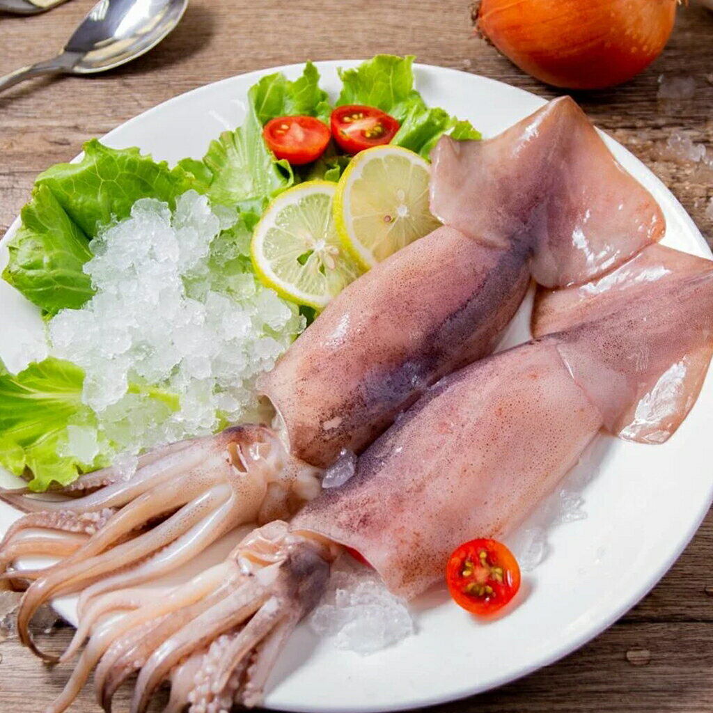 Argentine Squid