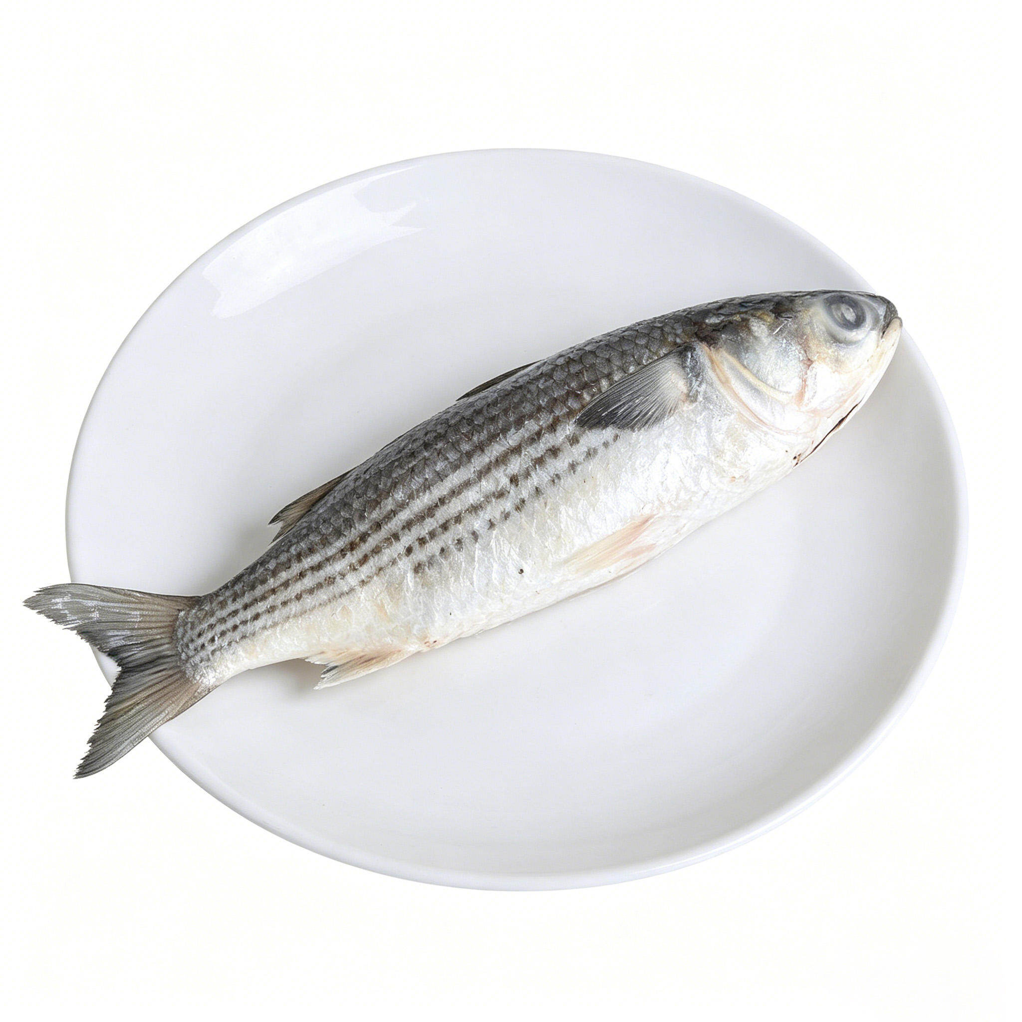 Mullet