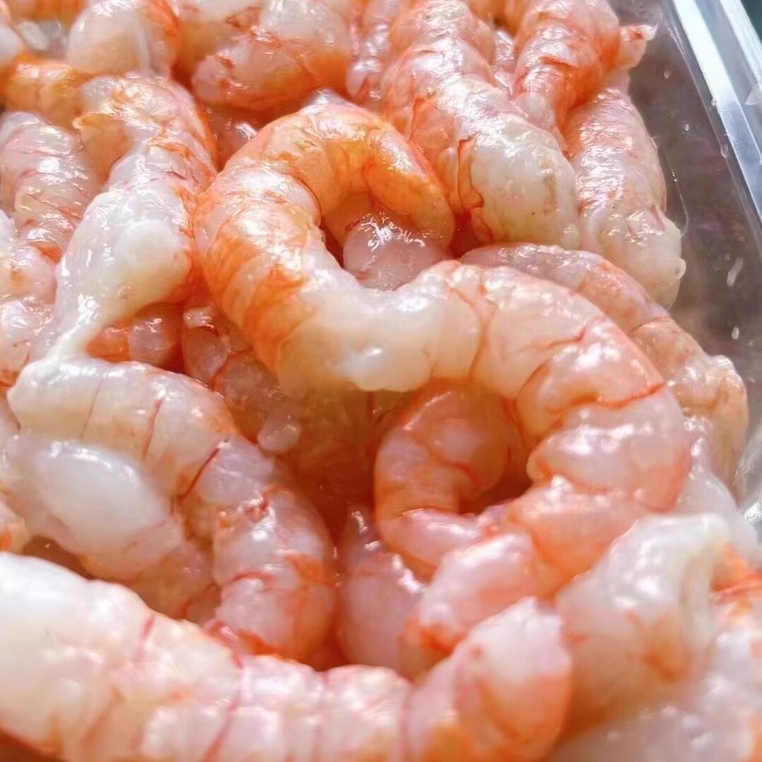 Red Shrimp