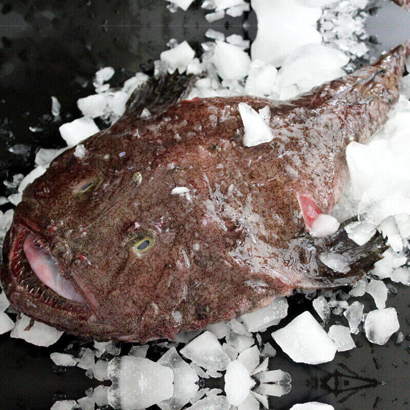 Monkfish