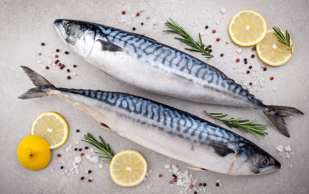 Mackerel