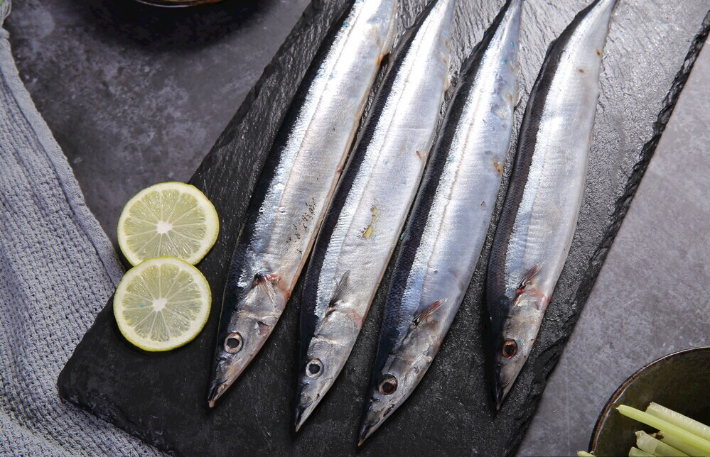 Pacific Saury