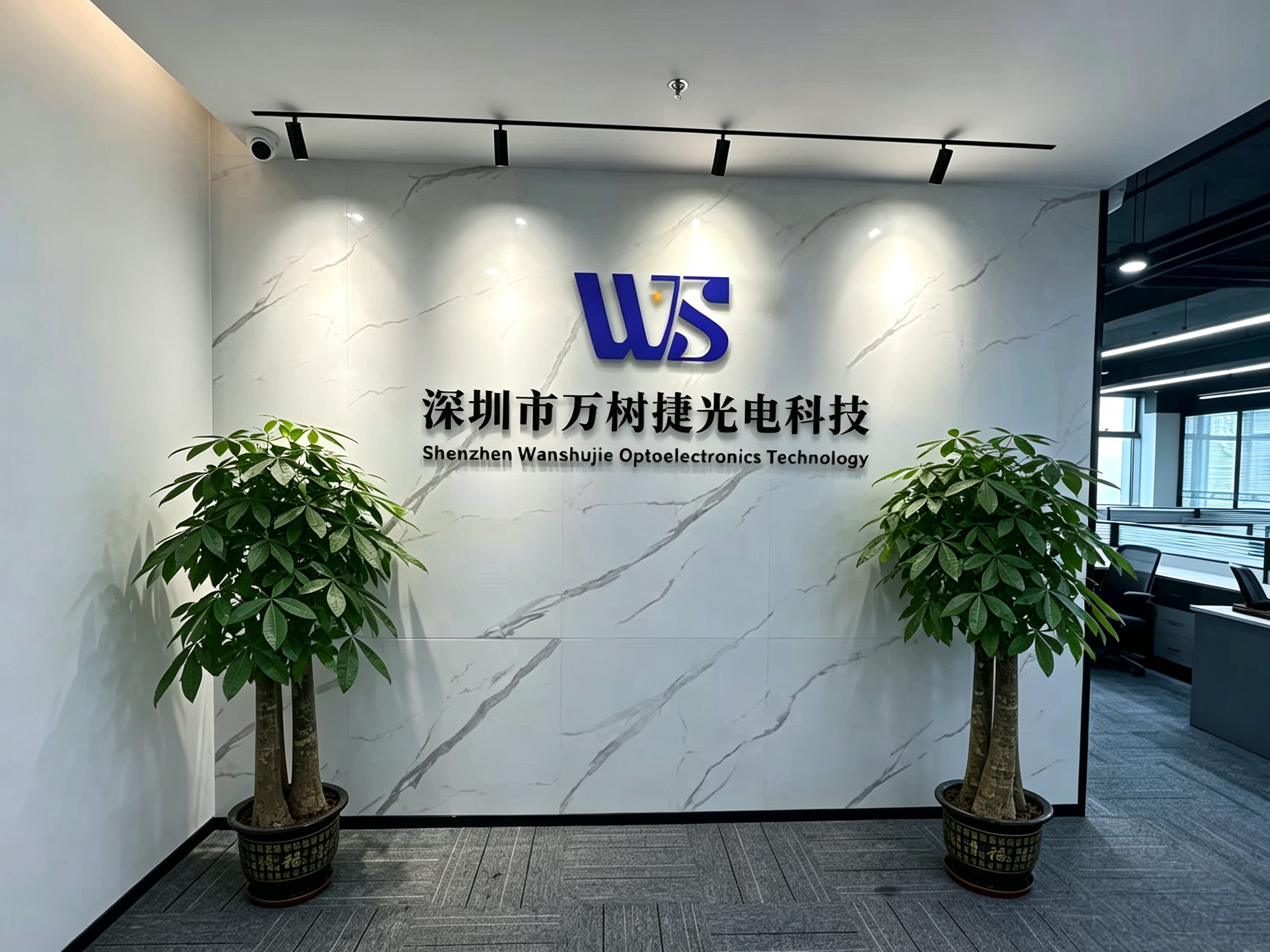 Wanshujie Optoelectronics Company Reception