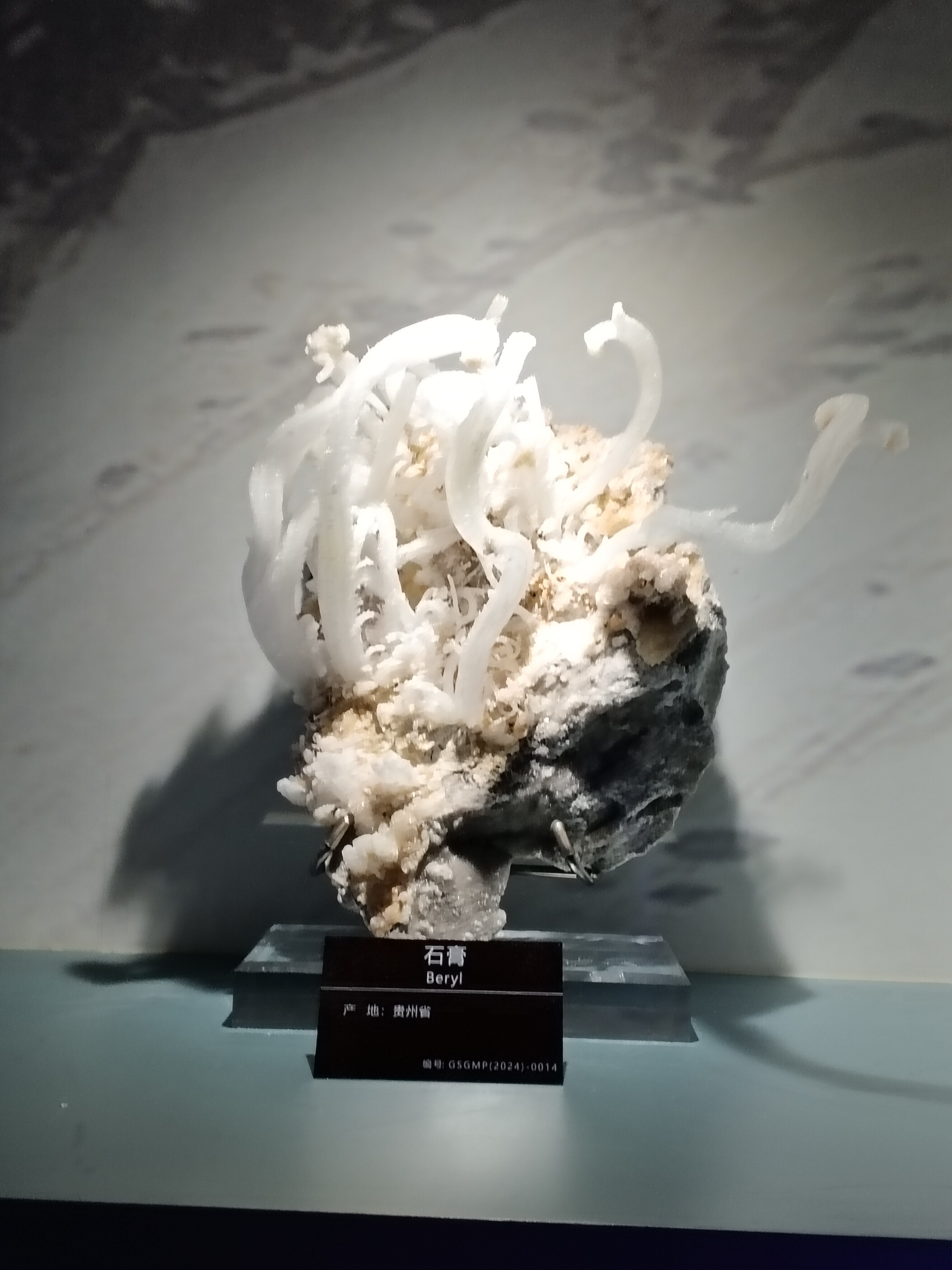 石膏