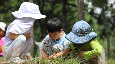 苍山探索