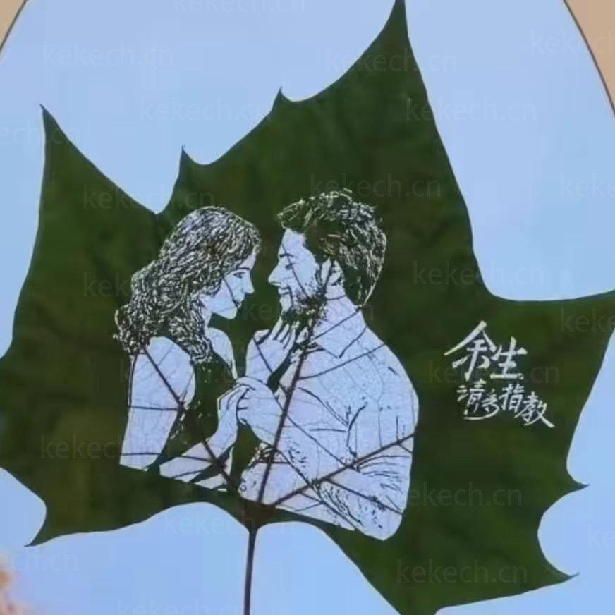Leaf carvings only