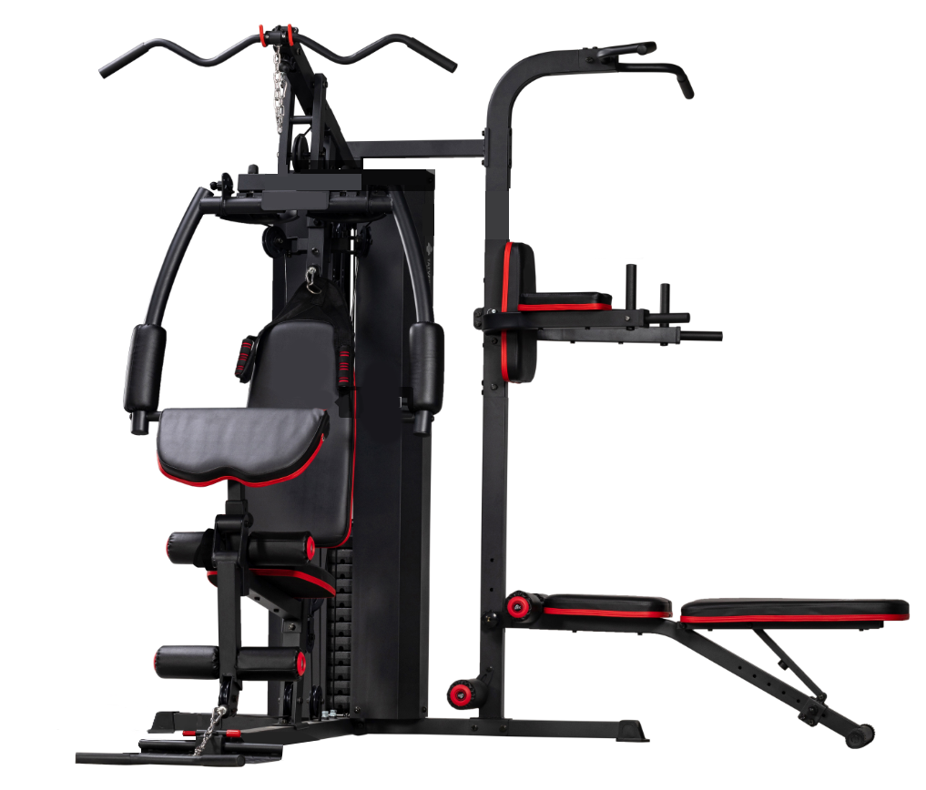 Combo Trainer (Dual Station)