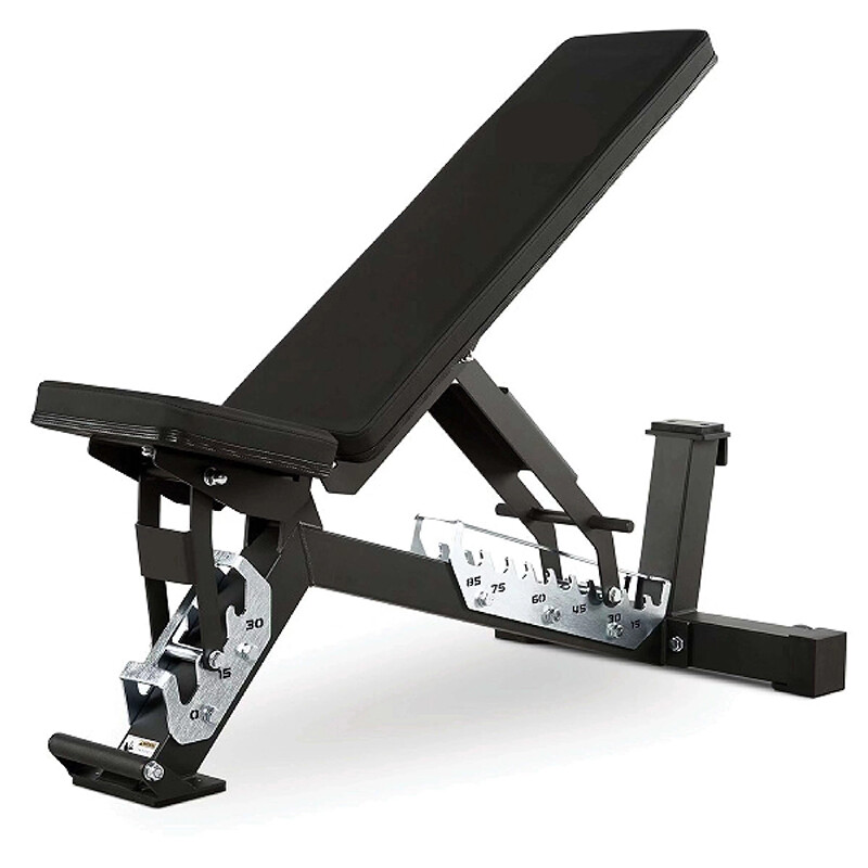 Dumbbell Bench (Commercial)
