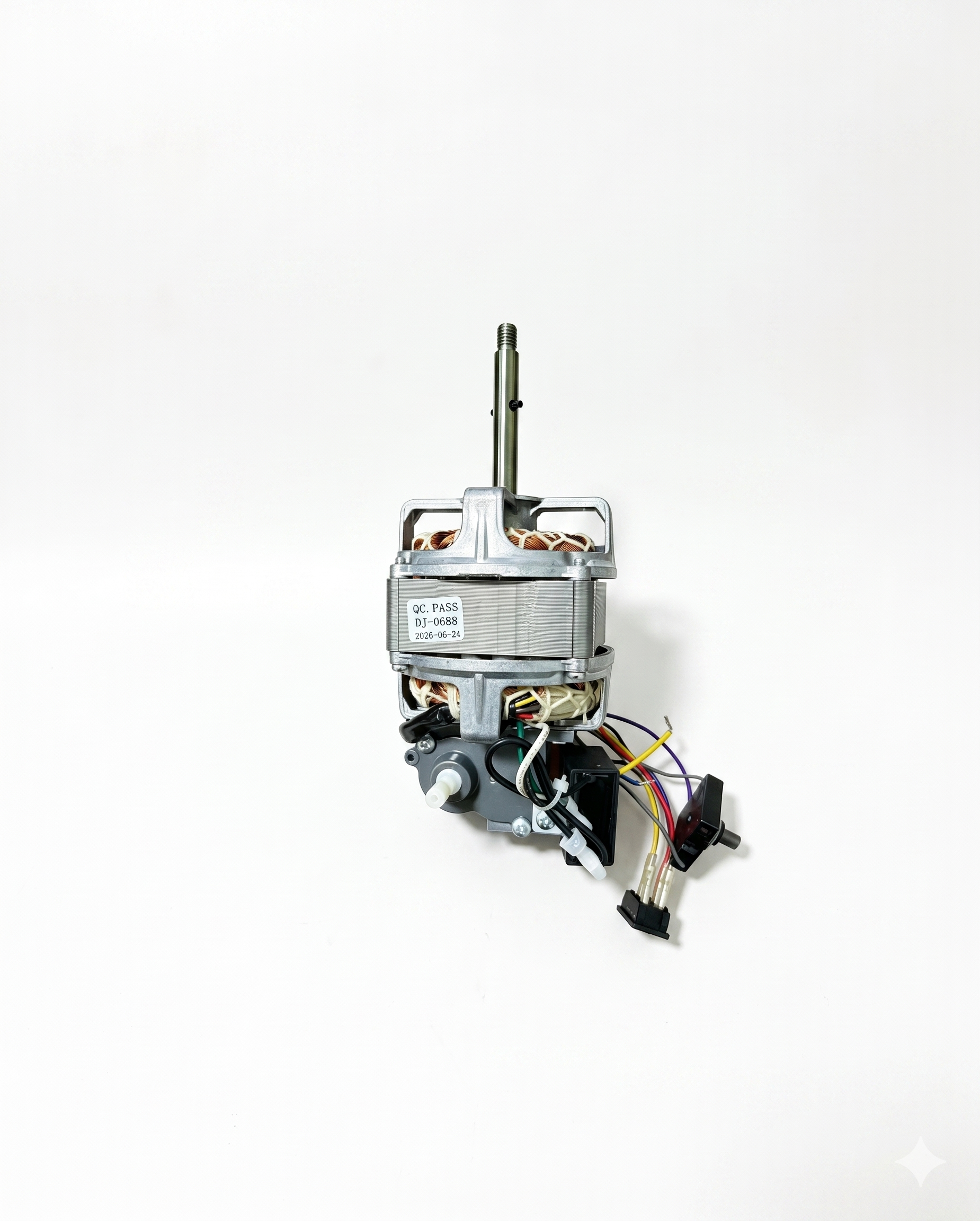 Single-phase asynchronous motor