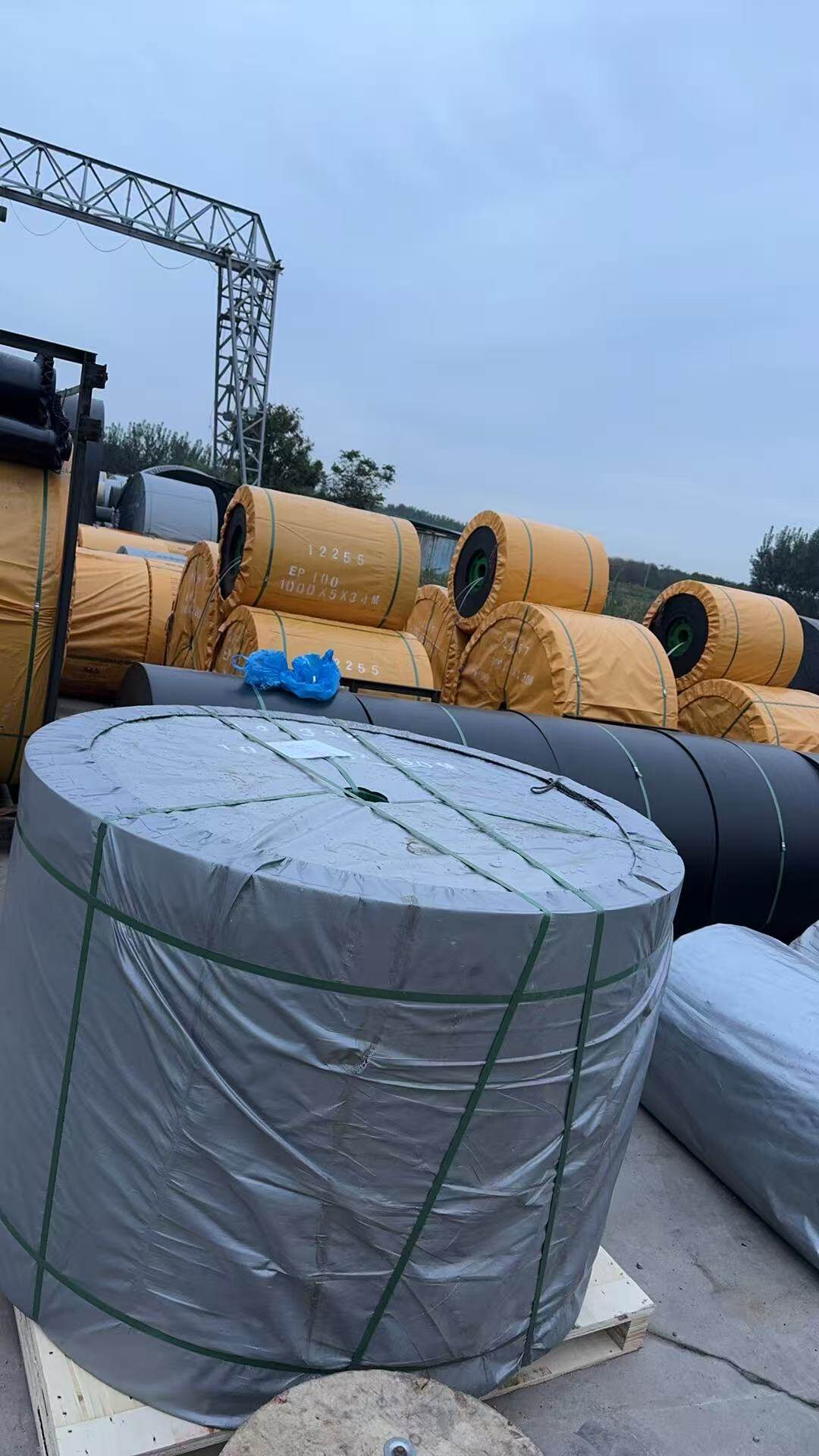EP (Polyester) Conveyor Belt