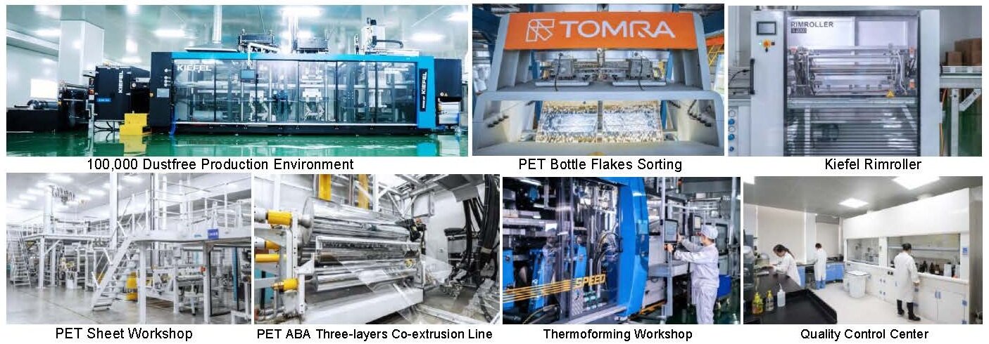 PET Recycling Factory Equipment Showcase