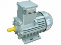 Marine Motors