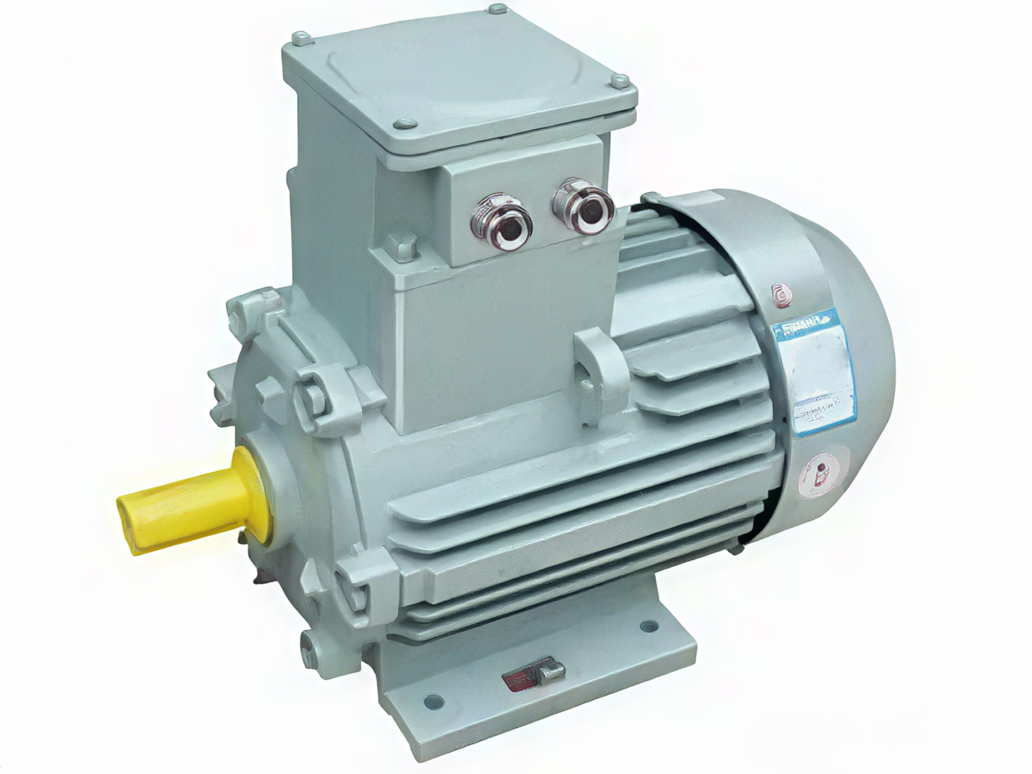 Marine Motors