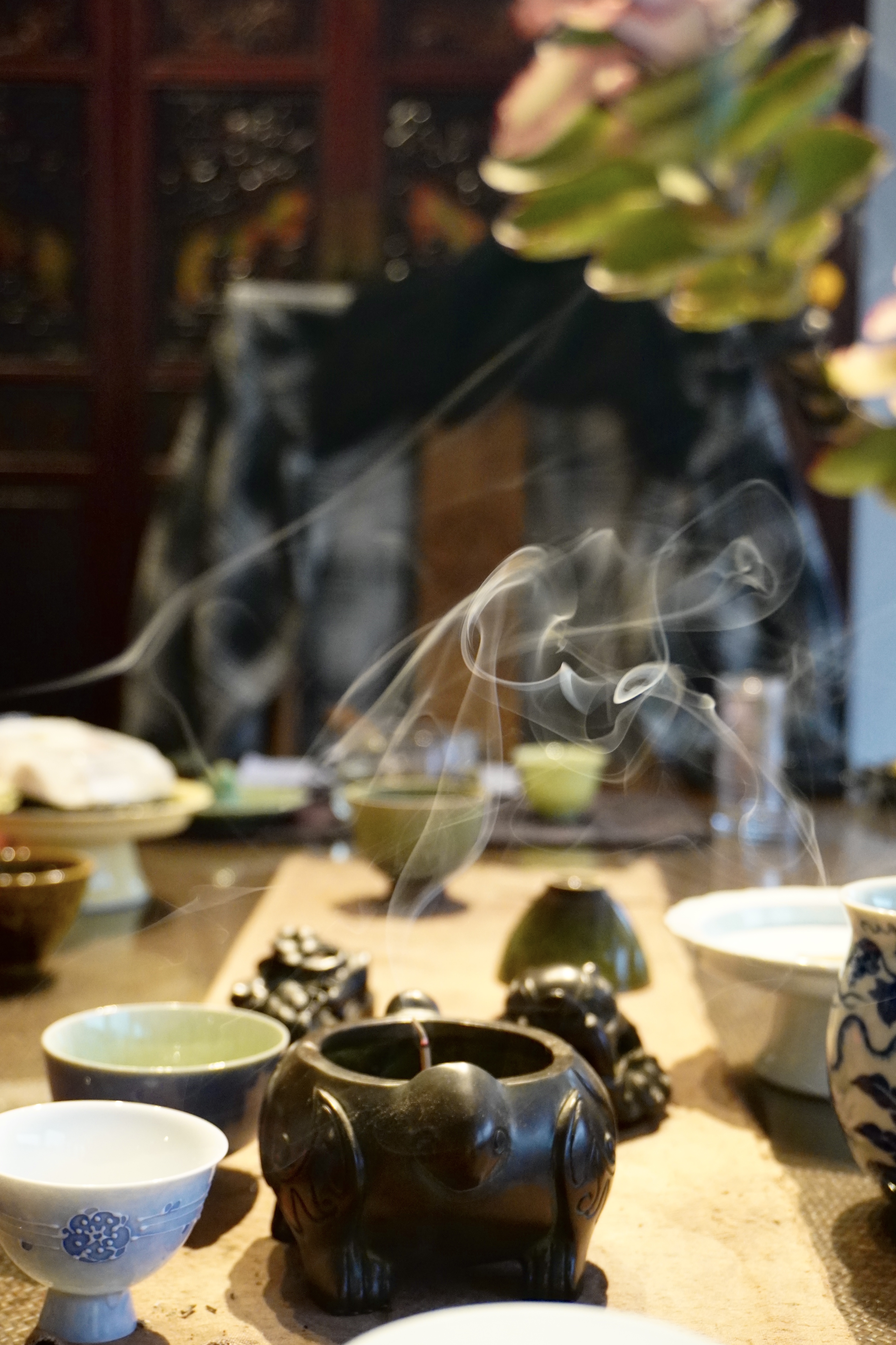 一炉风雅，满座兰香 | 幽兰运香事雅集纪闻 - 图片3