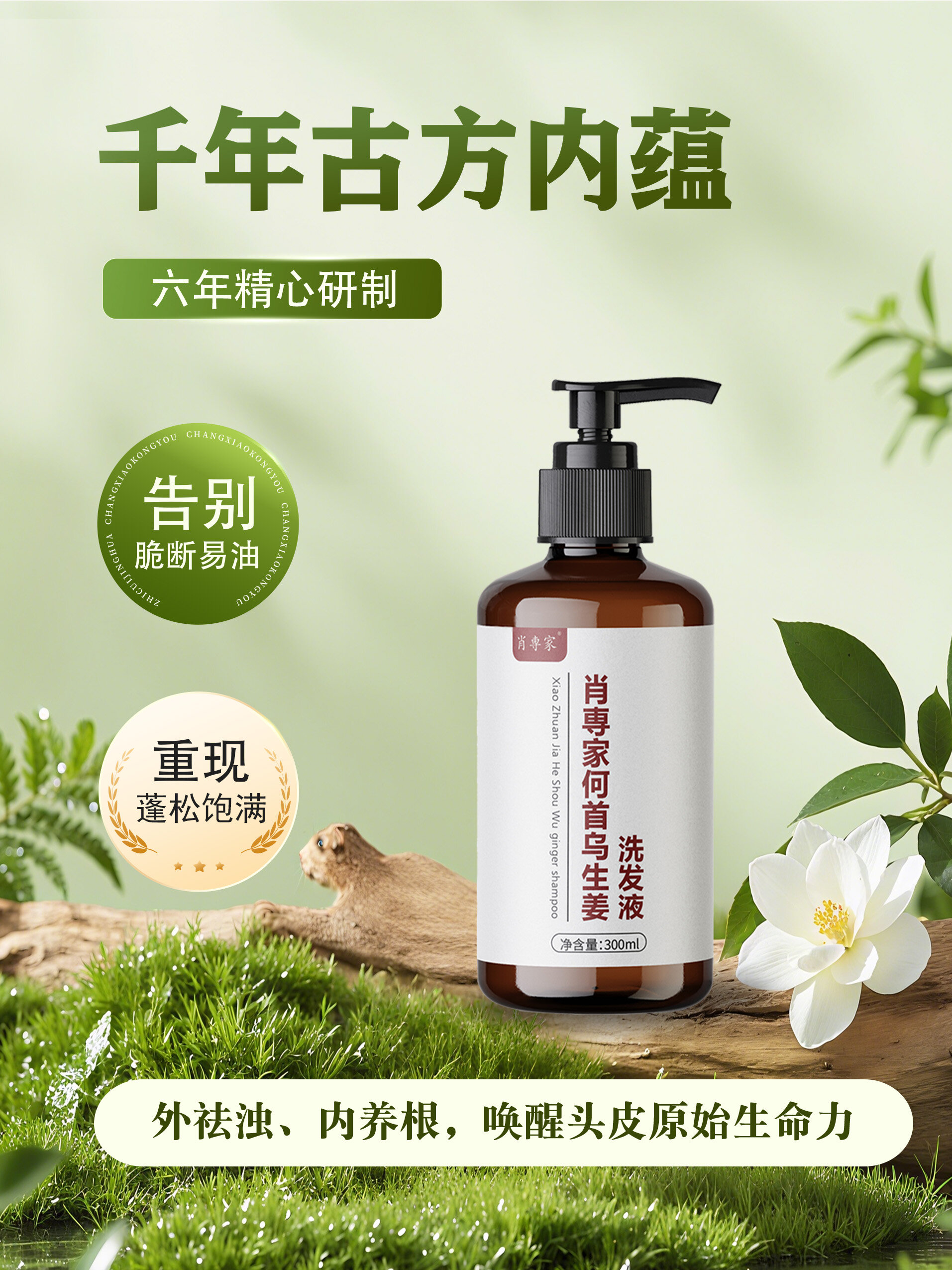 肖専家何首乌生姜洗发液
