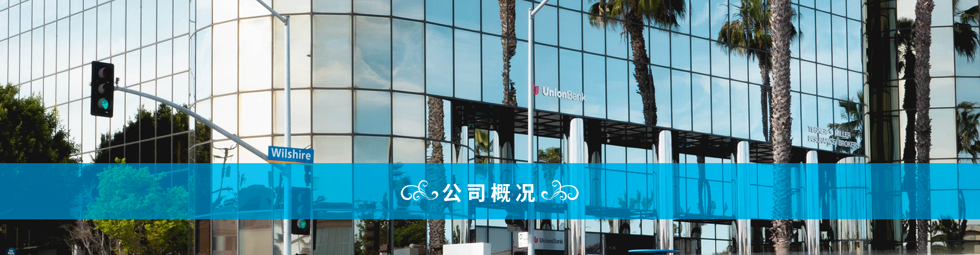 公司概况