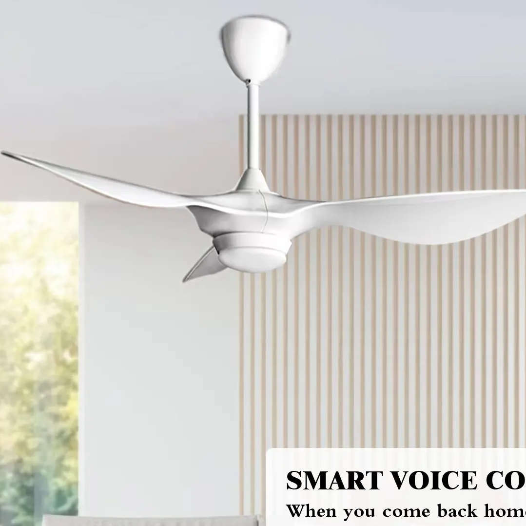 Standard Ceiling Fan Installation