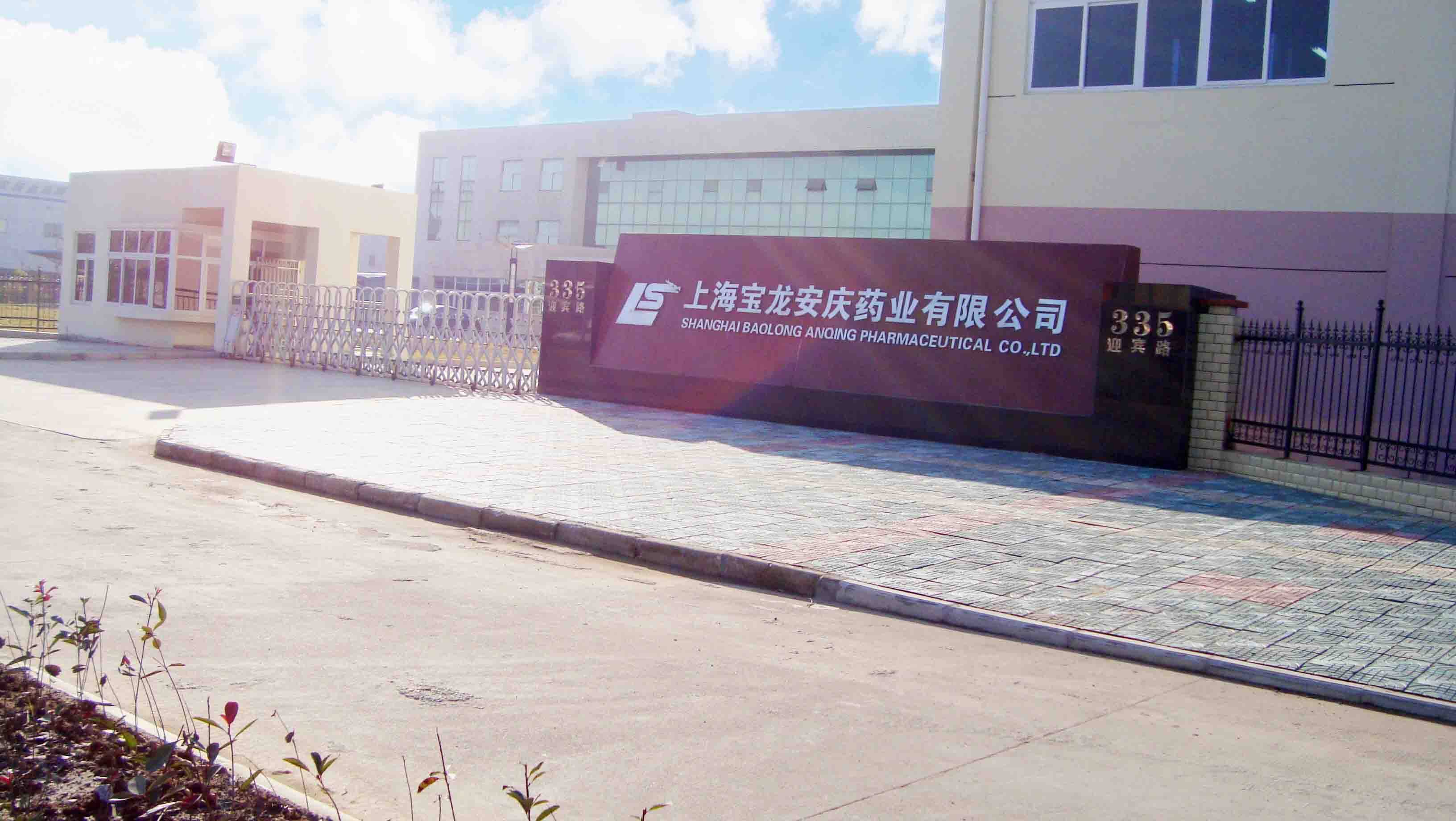 上海宝龙安庆药业有限公司