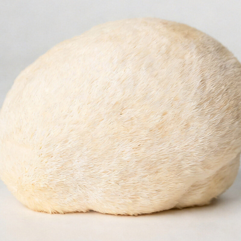 Frozen Hericium erinaceus