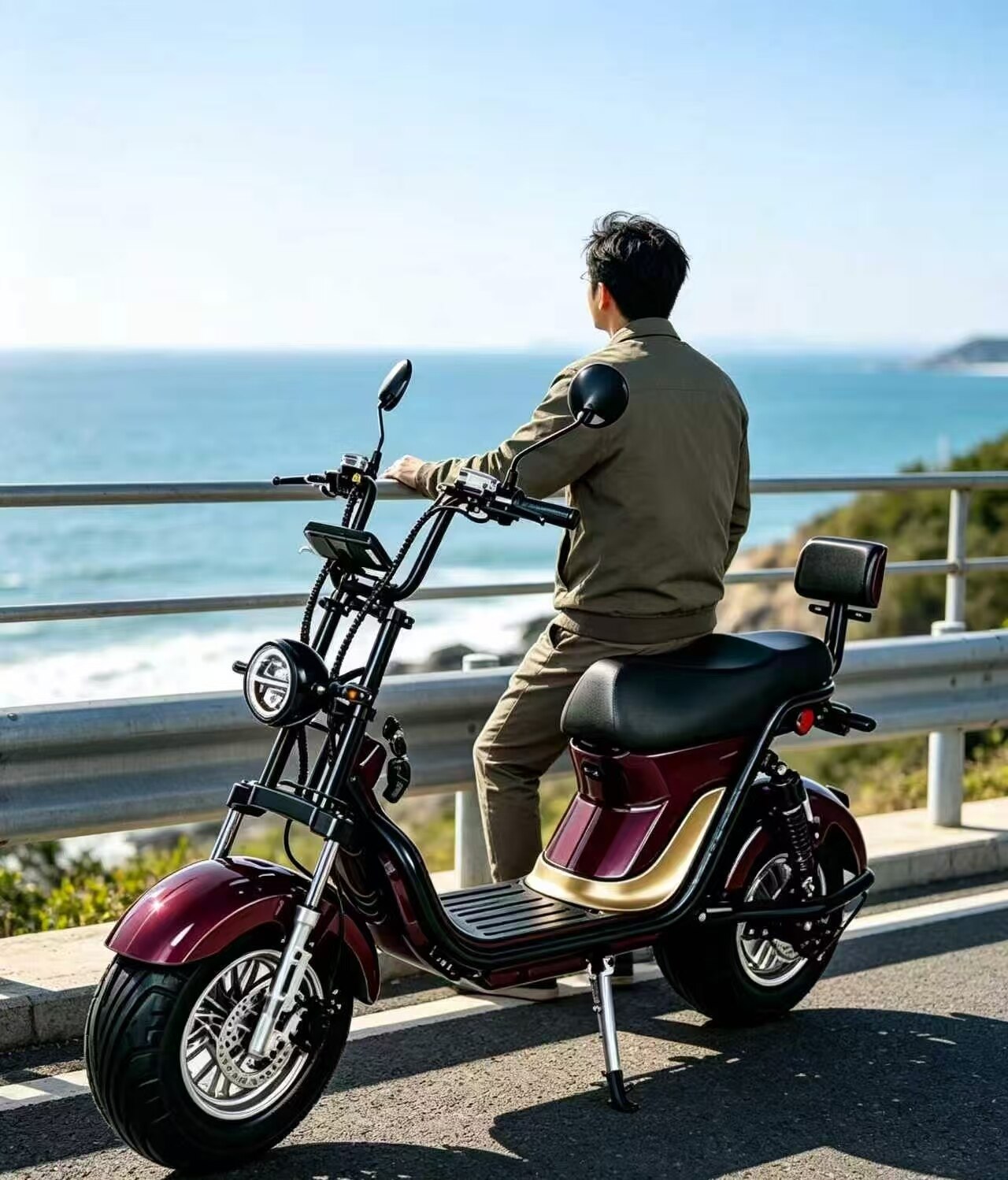 Chunhong Golden Wing Leisure Electric Scooter 4