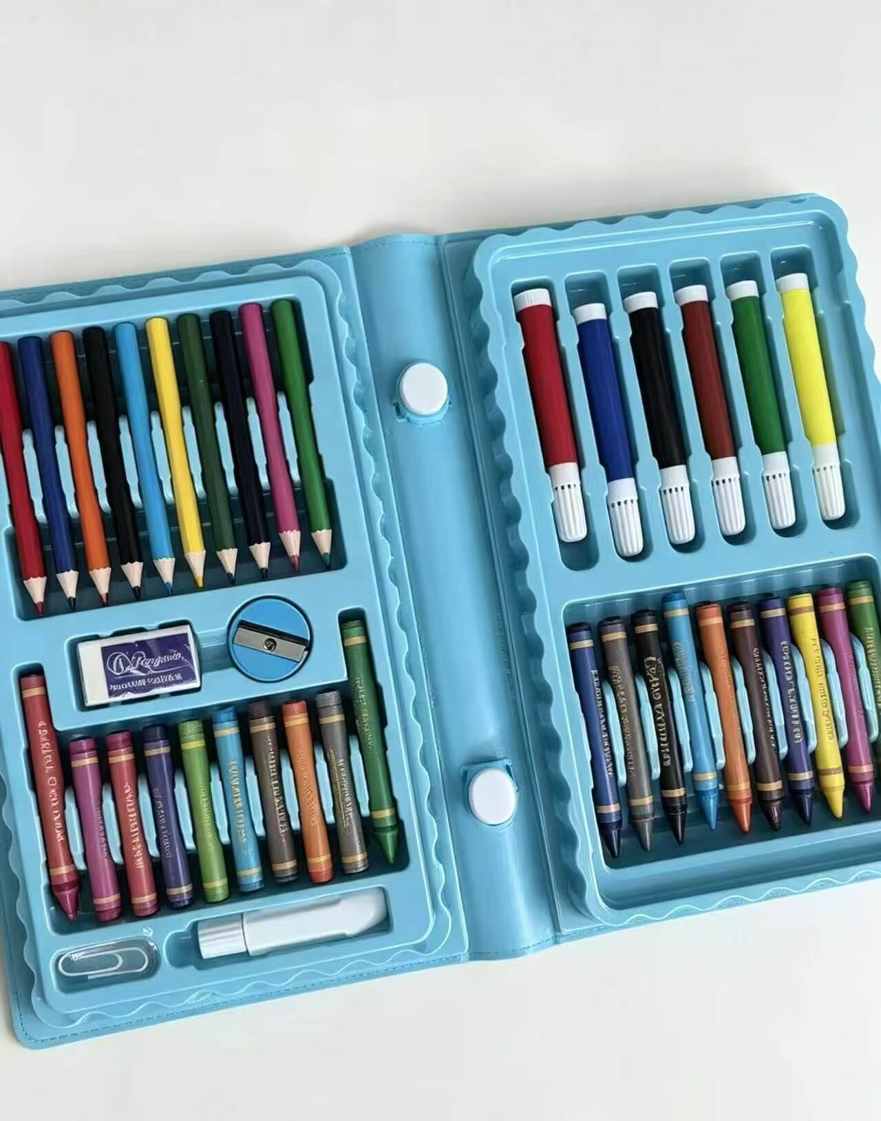 Whimsical Dinosaur Art Carry Case 5