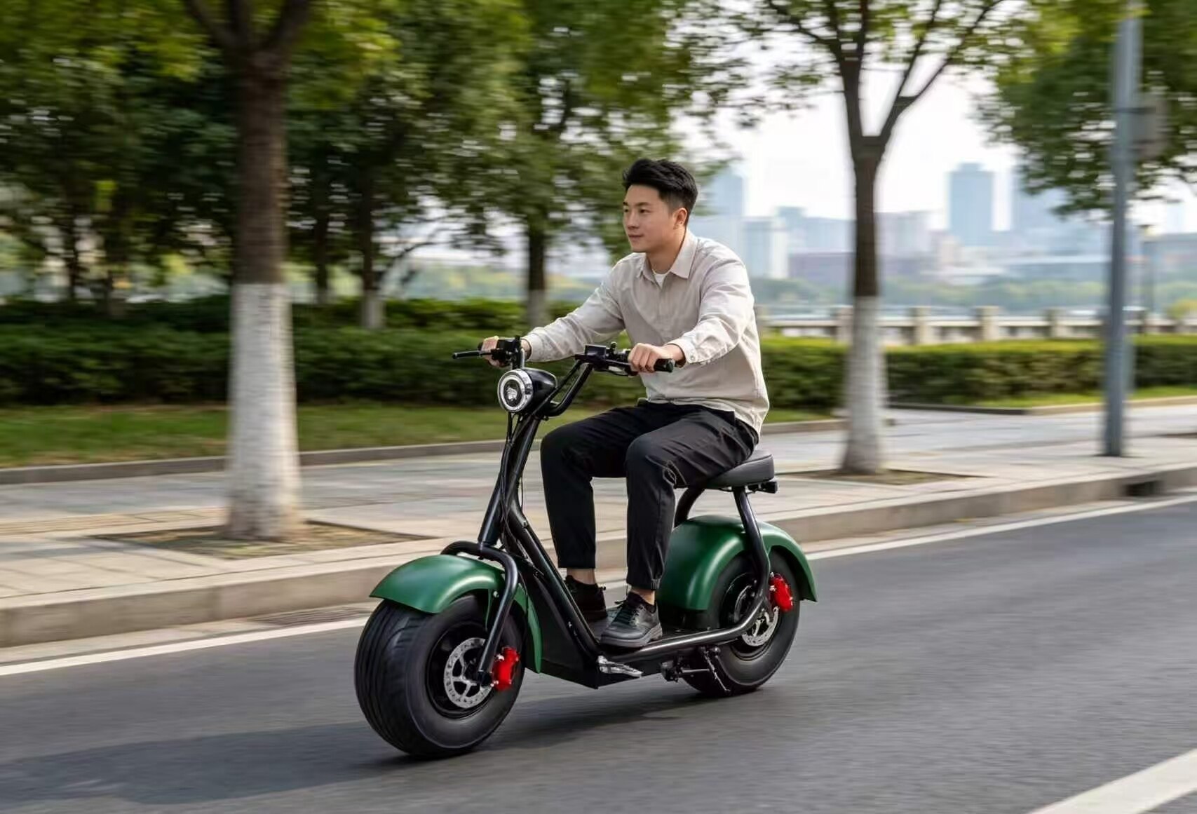 Greenfield Wide-Tire Casual Electric Motorcycle 2