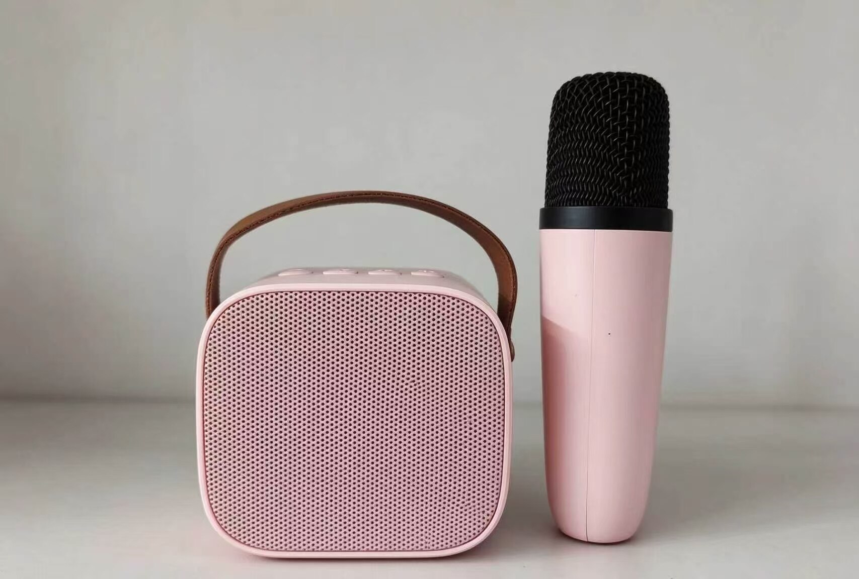 PinkJoy Portable Karaoke Speaker