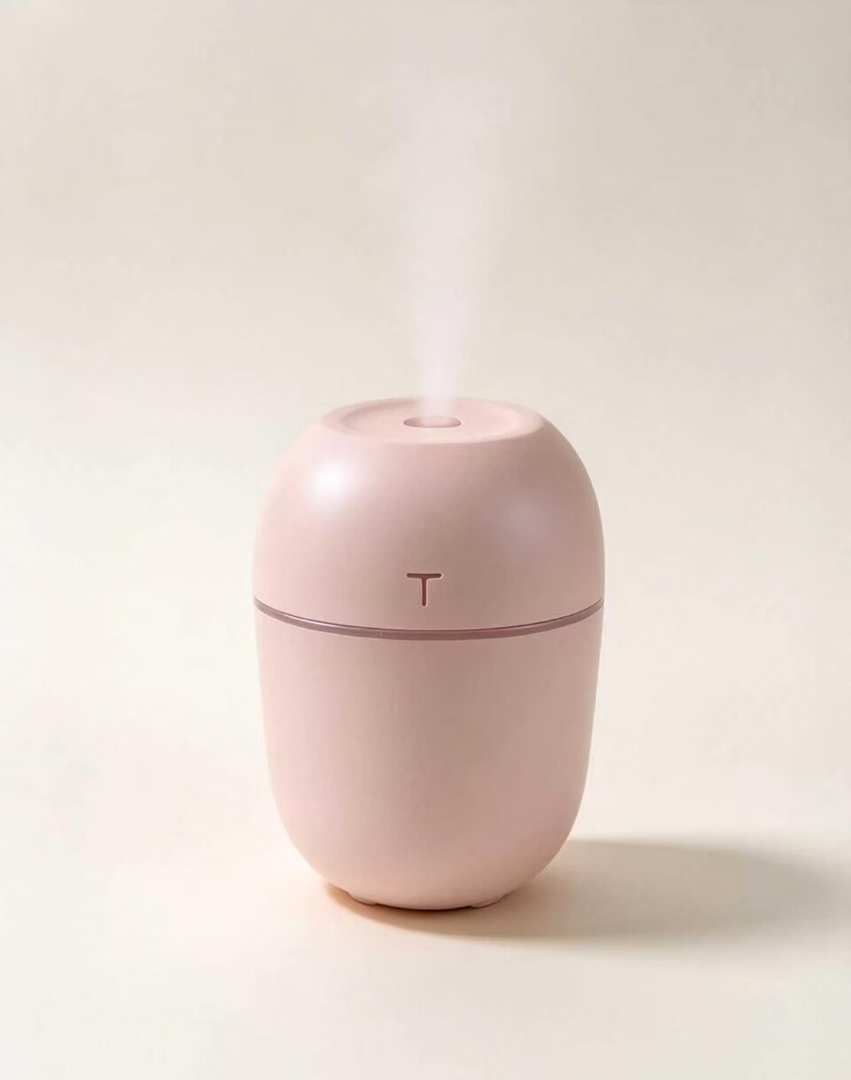 Dusty Pink Eggshell Mini Humidifier