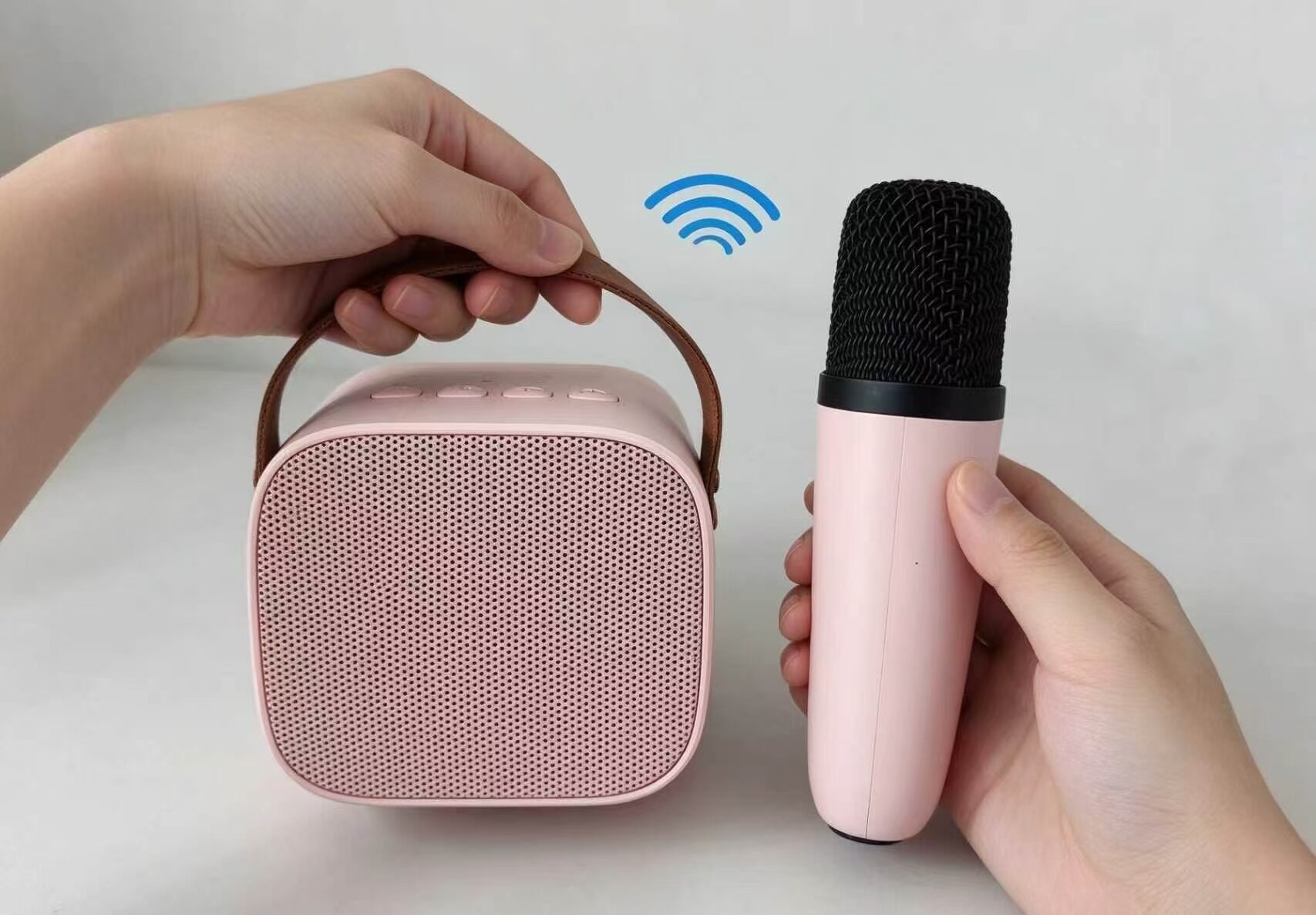 Fenyue Portable Karaoke Speaker 5